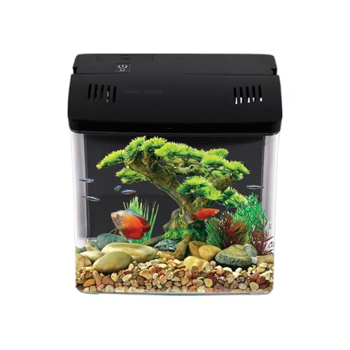 ベタ水槽」の人気商品一覧 | 安い商品を通販サイトから探す - 価格.com